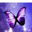 brailinmartine1's profile image