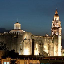 Acapantingo's profile picture. 