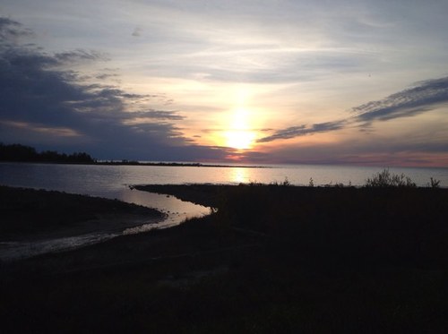 SaugeenWeather's profile picture. In the Gobles Grove area of Port Elgin, Ontario. Note: wind data will likely read low due to nearby tree cover. Website has detailed conditions.