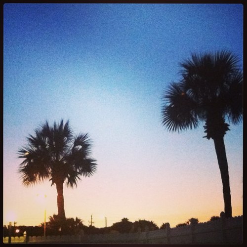 kerryboggus's profile picture. JU Grad but bleed Irish blue and gold! My tweets...my opinions