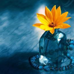 bentleycal's profile picture. 