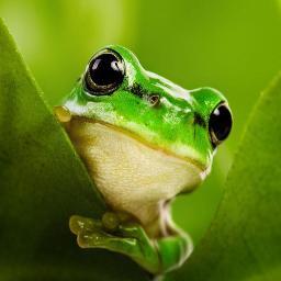 s8c3's profile picture. のんびりやってますヽ(=´▽`=)