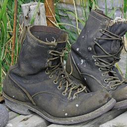 patompson's profile picture. Adventure in the quest for knowledge