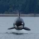 Jim Isom - @azjri2104 - Twitter