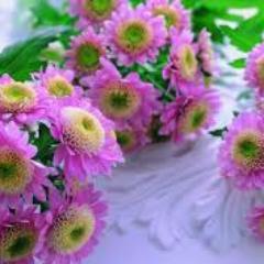 Ryangomez121's profile picture. Computer technology researcher.........