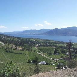 Maxdbg's profile picture. 