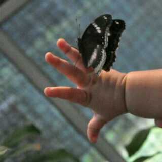 BBo00y134's profile picture. 