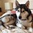 raff0412's profile image