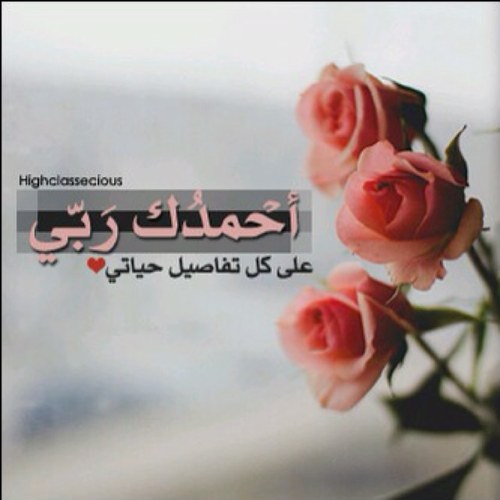 ✽ الحمـــدلله دائمــاً وأبــــدا ✽