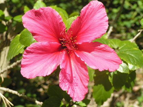 amy83MD's profile picture. 