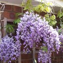 Pam wade - @Pammy291 - Twitter