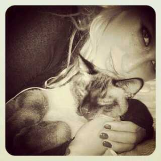 ♥ i love kesha ♥                                       #TEAMKIT #LAZERBEAMZ #ANIMALZZ