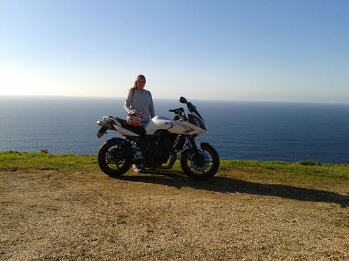 chiguagua46's profile picture. 