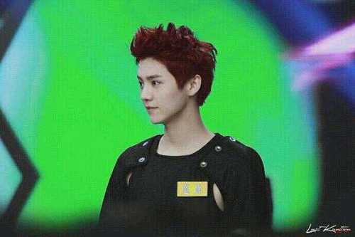 Excuse_Me_LL's profile picture. 