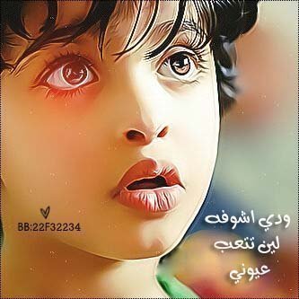 29F8A7E8