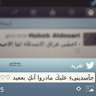 pIn:29662c4b