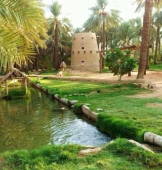 abomotlaq44's profile picture. 