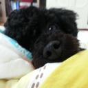 김지은 (@013343) Twitter
