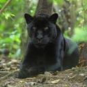 Julie Bybee - @JulieBybee1 - Twitter