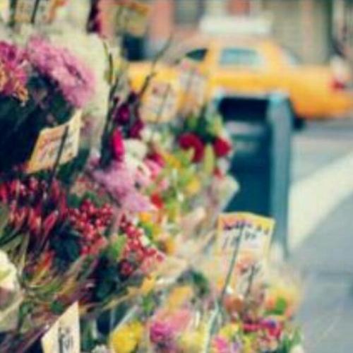 ♥لآ إللﱠﮧ إلآ اللﱠﮧ ﻡحﻣد رسۆل اللﱠﮧ...