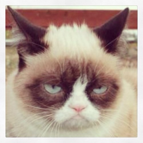 Toscatine's profile picture. 