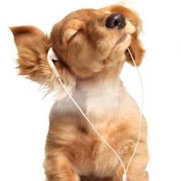 C2013X's profile picture. ...............