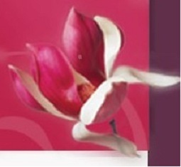 Amaan Bereavement Counselling is an exclusive online advisory service. We provide information and guidance for bereaved Muslim women in the UK.