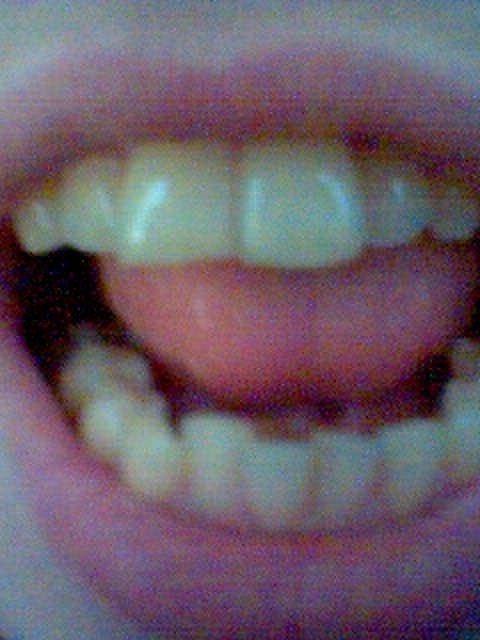 vexierspiegel's profile picture. biomass