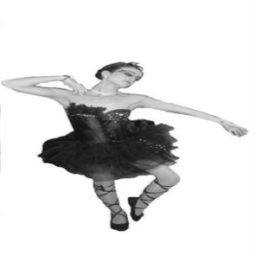 DaysiHuffman1's profile picture. Travel guy- special interest tours, business development, management and online.  Sometmes trombone player.