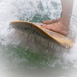 South Sydney Rabbitohs, Waratahs, My family, Surfing, Chilli sauce and Red Hot Chilli Peppers