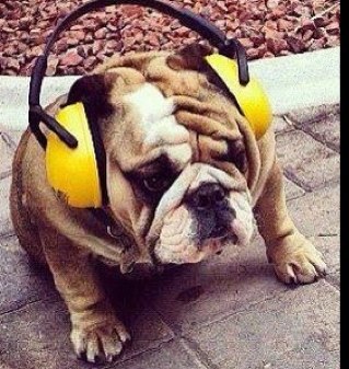 mathcoach5678's profile picture. 