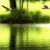 Взаимный фолловинг, RuFollowBack