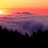 Взаимный фолловинг, RuFollowBack