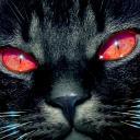 Взаимный фолловинг, RuFollowBack