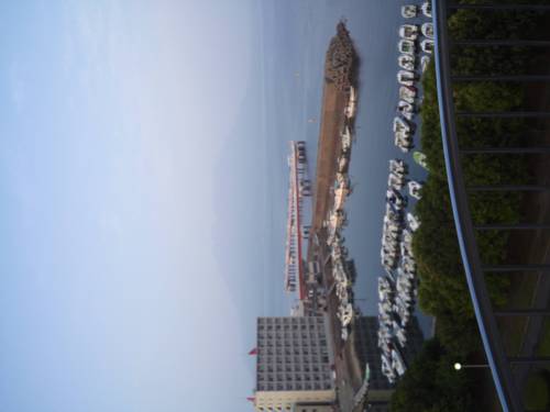 watachan_sgg's profile picture. 