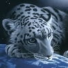 Взаимный фолловинг, RuFollowBack