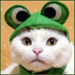 Взаимный фолловинг, RuFollowBack