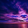 Взаимный фолловинг, RuFollowBack