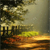 Взаимный фолловинг, RuFollowBack