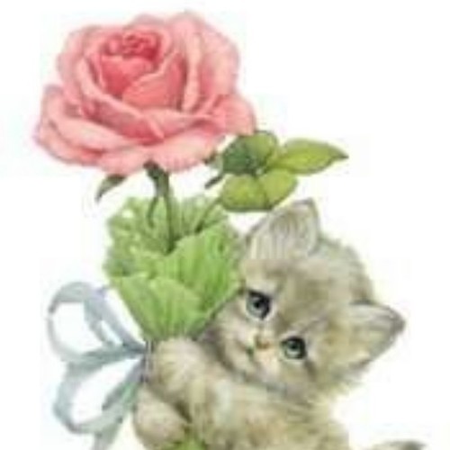 gaddda1's profile picture. ‏‏‏كلمتآن ، ، ، خفيفتآن على اللسآن
 
 ثقيلتآن في الميزآن ، ، حبيبتان الى الرحمن
سبحاآن اللہ وبحمده ، سبحاآن اللہ آلعظيم