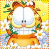 Взаимный фолловинг, RuFollowBack