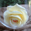Взаимный фолловинг, RuFollowBack