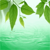 Взаимный фолловинг, RuFollowBack