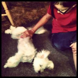 LeishaRomano's profile picture. Hi :)