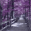 Взаимный фолловинг, RuFollowBack