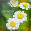 Взаимный фолловинг, RuFollowBack