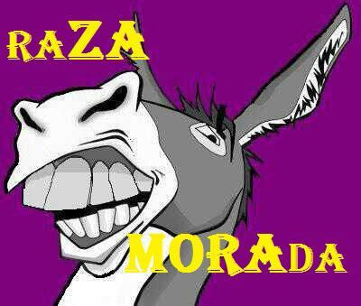 Peña Zamorana raZAMORAda!!! no somos los mejores en nada pero si los mas guapos!! BEBER Y CENAR.Menos paseos y más meriendas! Fundada en 2009!