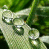 Взаимный фолловинг, RuFollowBack