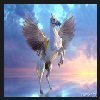 Взаимный фолловинг, RuFollowBack