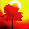 Взаимный фолловинг, RuFollowBack